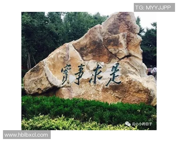 张帆的奋斗历程与人生哲学探索如何在逆境中寻找成长的力量与智慧