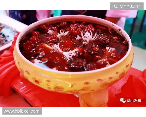 赞岐与岐阜的文化碰撞与美食对决探秘之旅