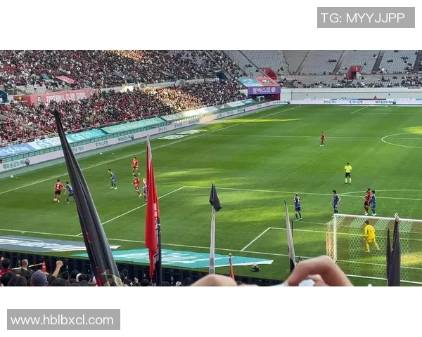 fc首尔对阵吉打精彩直播全程回顾与赛后分析尽在此处