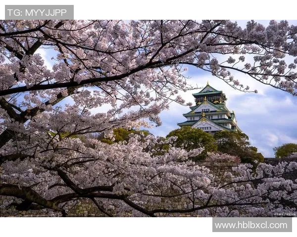 草津温泉与大阪樱花的魅力对决：温泉与樱花的完美融合之旅